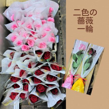 一輪の花贈り 一輪の花贈り
