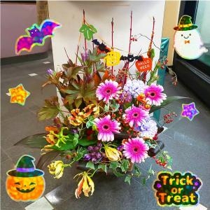 最近のお仕事 アレンジメント 花屋ブログ 京都府舞鶴市の花屋 花アラキにフラワーギフトはお任せください 当店は 安心と信頼の花キューピット加盟店です 花キューピットタウン