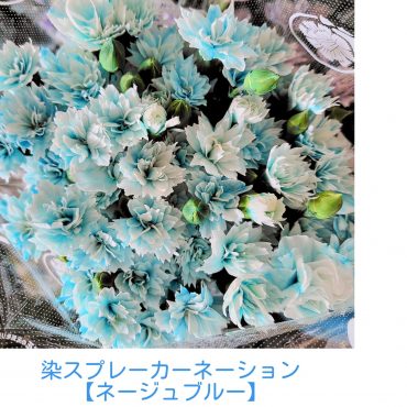 入荷してます♪｜「花アラキ」　（京都府舞鶴市の花キューピット加盟店 花屋）のブログ